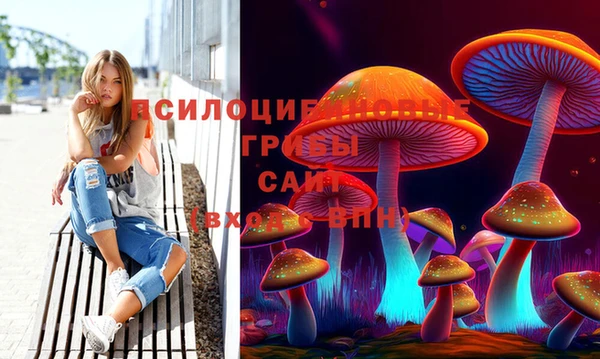прущие грибы Карпинск