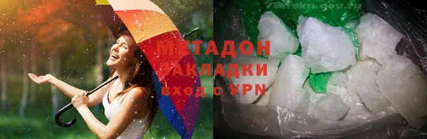 прущие грибы Карпинск