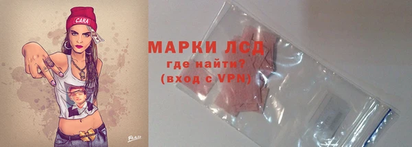 прущие грибы Карпинск