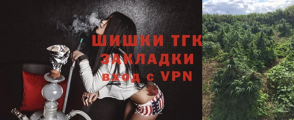 прущие грибы Карпинск