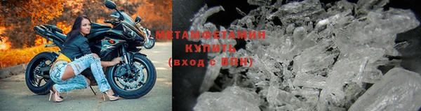 прущие грибы Карпинск
