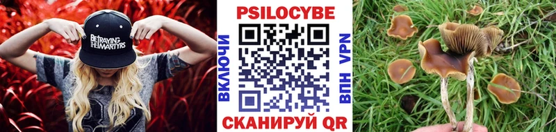 Галлюциногенные грибы MAGIC MUSHROOMS  Купить закладки  Карачев 